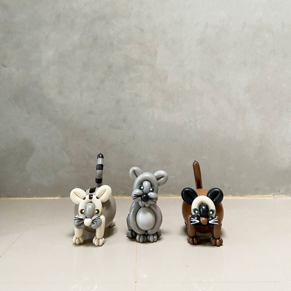 Balloon Art - Cat 