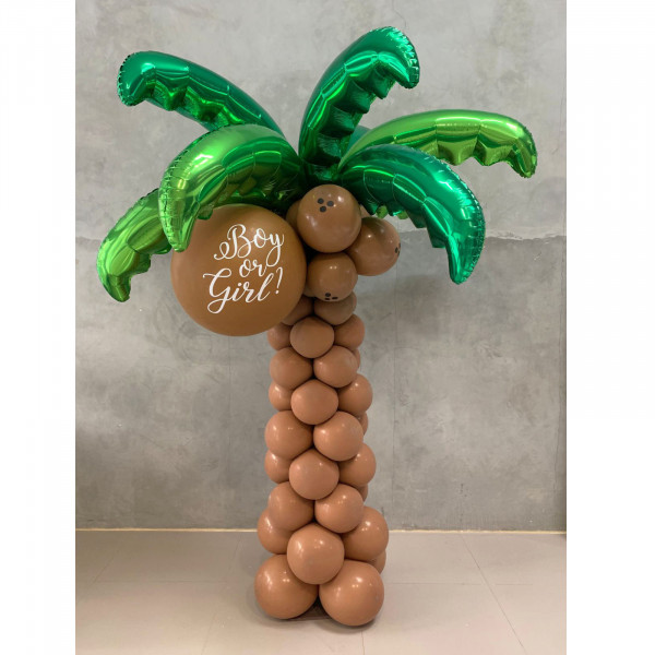 Gender Reveal - Coconut Tree 