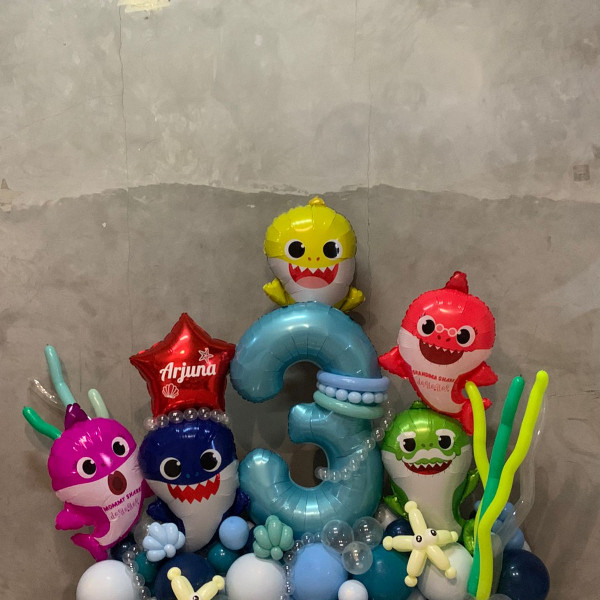 Baby Shark Configuration