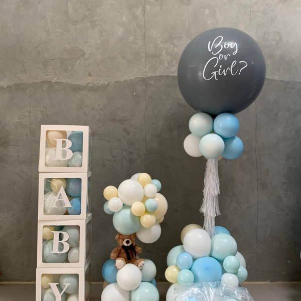 Standee Baby + Gender Reveal