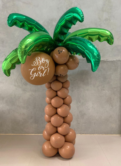 Gender Reveal - Coconut Tree 