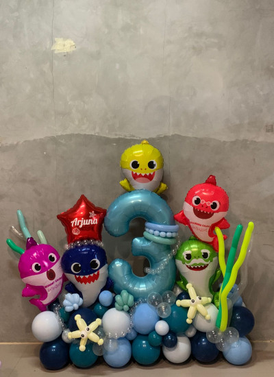 Baby Shark Configuration